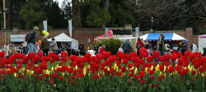 Royal Tasmanian Botanical Gardens