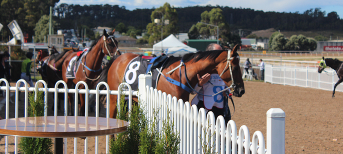 The Devonport Cup